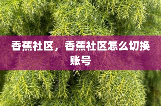 香蕉社区，香蕉社区怎么切换账号