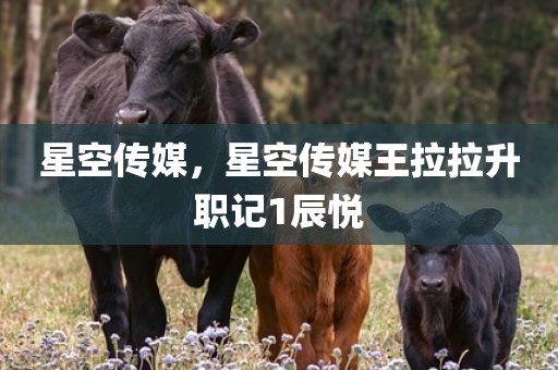 星空传媒，星空传媒王拉拉升职记1辰悦