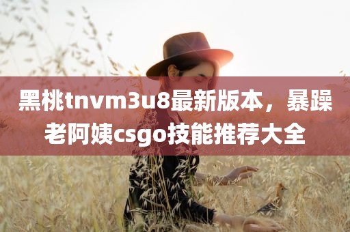 黑桃tnvm3u8最新版本，暴躁老阿姨csgo技能推荐大全