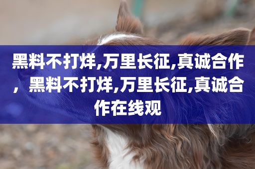 黑料不打烊,万里长征,真诚合作，黑料不打烊,万里长征,真诚合作在线观