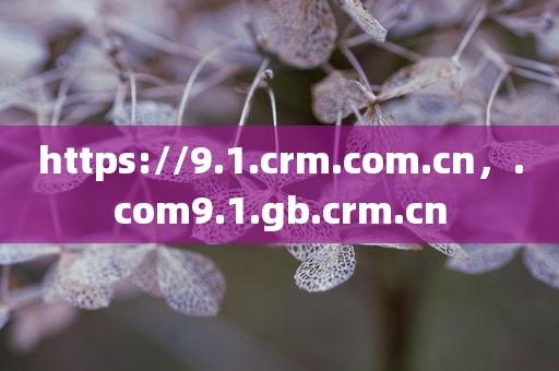 https://9.1.crm.com.cn，.com9.1.gb.crm.cn