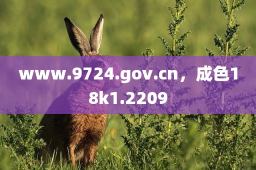 www.9724.gov.cn，成色18k1.2209