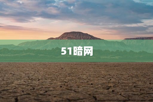 51暗网