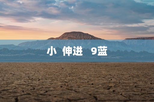 小  伸进   9蓝