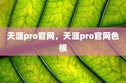 天涯pro官网，天涯pro官网色板