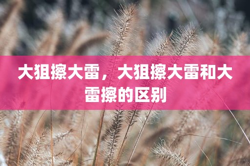 大狙擦大雷，大狙擦大雷和大雷擦的区别