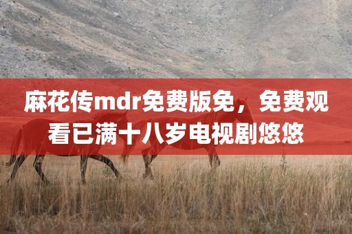 麻花传mdr免费版免，免费观看已满十八岁电视剧悠悠