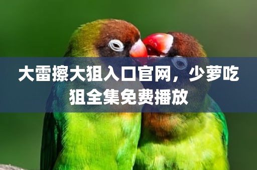 大雷擦大狙入口官网，少萝吃狙全集免费播放