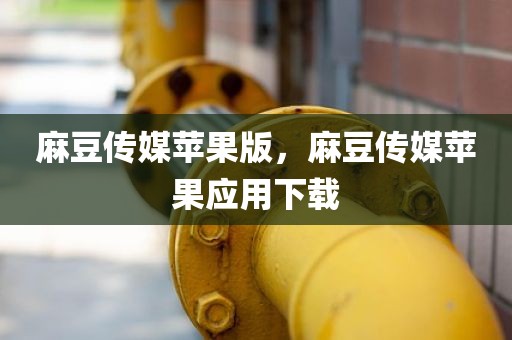 麻豆传媒苹果版，麻豆传媒苹果应用下载