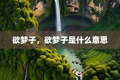 欲梦子，欲梦子是什么意思