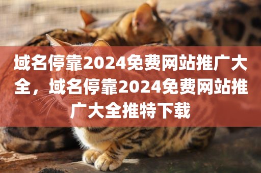 域名停靠2024免费网站推广大全，域名停靠2024免费网站推广大全推特下载