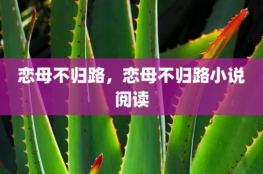 恋母不归路，恋母不归路小说阅读