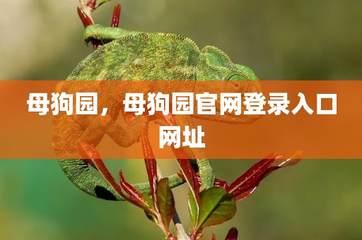 母狗园，母狗园官网登录入口网址