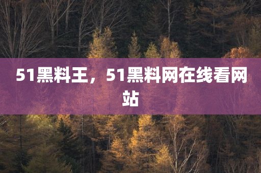 51黑料王，51黑料网在线看网站