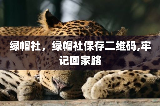 绿帽社，绿帽社保存二维码,牢记回家路