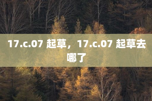 17.c.07 起草，17.c.07 起草去哪了
