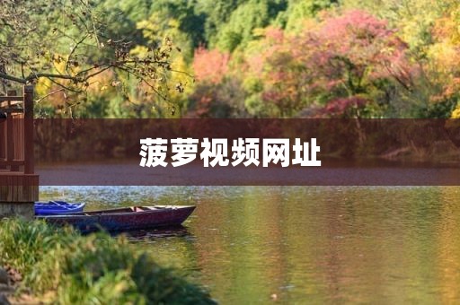 菠萝视频网址