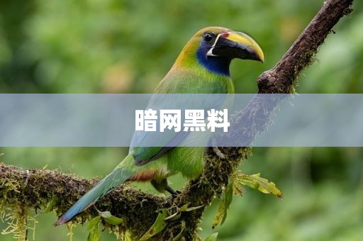 暗网黑料