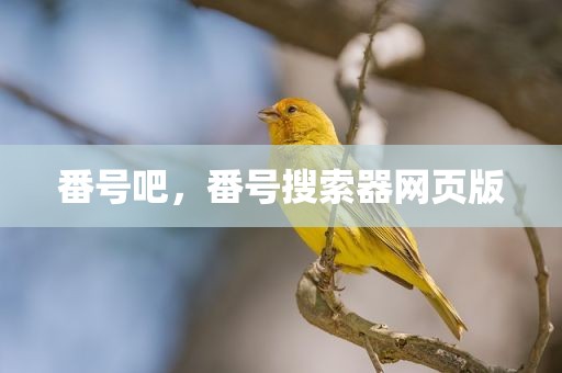 番号吧，番号搜索器网页版