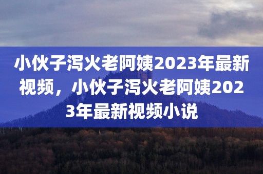 小伙子泻火老阿姨2023年最新视频，小伙子泻火老阿姨2023年最新视频小说