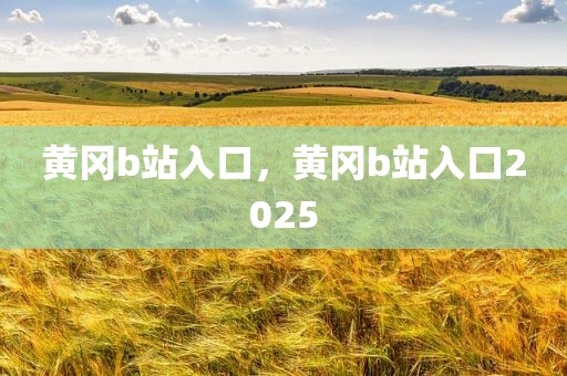 黄冈b站入口，黄冈b站入口2025