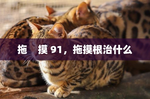 拖    摸 91，拖摸根治什么