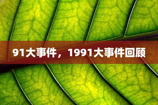 91大事件，1991大事件回顾