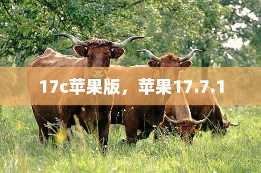 17c苹果版，苹果17.7.1