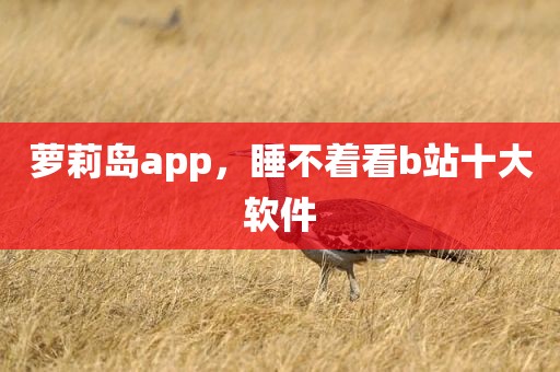 萝莉岛app，睡不着看b站十大软件