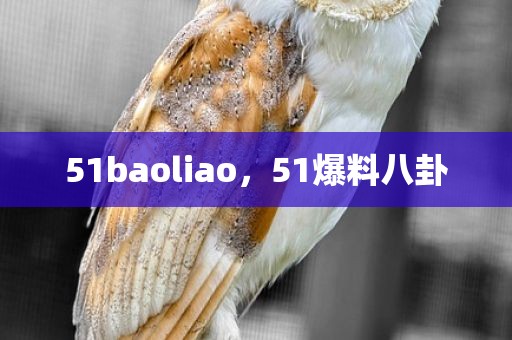 51baoliao，51爆料八卦