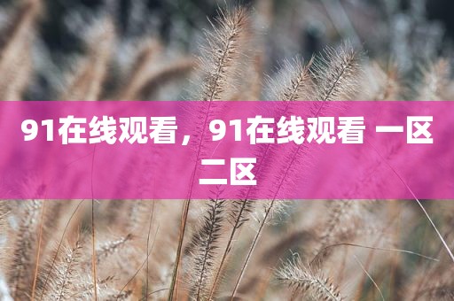 91在线观看，91在线观看 一区二区