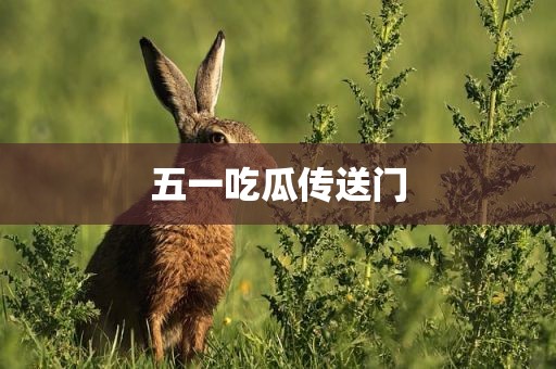五一吃瓜传送门