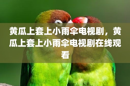 黄瓜上套上小雨伞电视剧，黄瓜上套上小雨伞电视剧在线观看