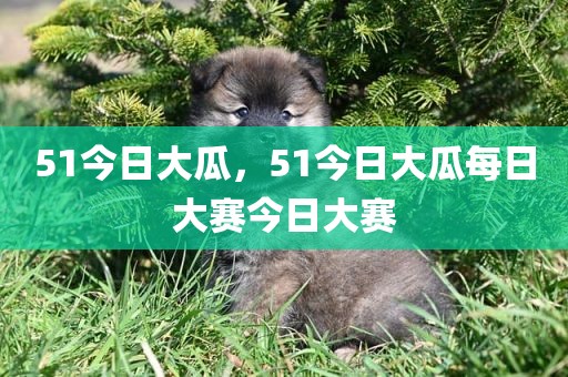 51今日大瓜，51今日大瓜每日大赛今日大赛