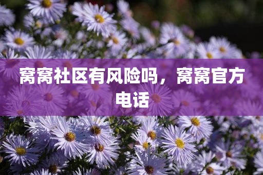 窝窝社区有风险吗，窝窝官方电话