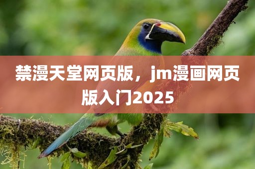 禁漫天堂网页版，jm漫画网页版入门2025