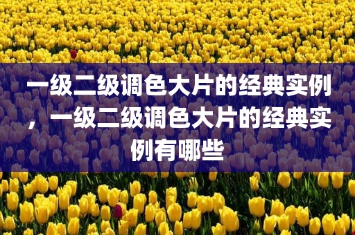 一级二级调色大片的经典实例，一级二级调色大片的经典实例有哪些