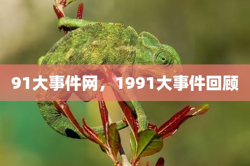 91大事件网，1991大事件回顾