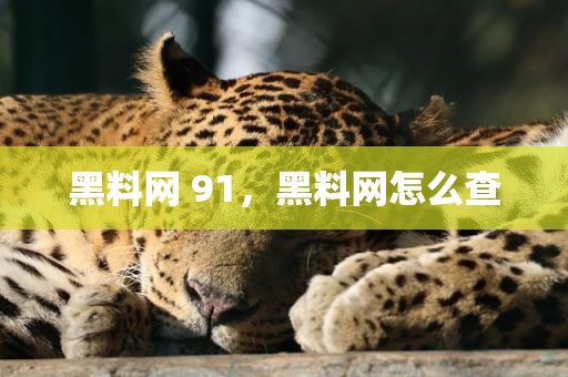 黑料网 91，黑料网怎么查