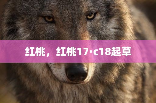红桃，红桃17·c18起草