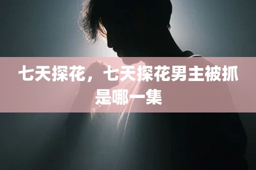 七天探花，七天探花男主被抓是哪一集