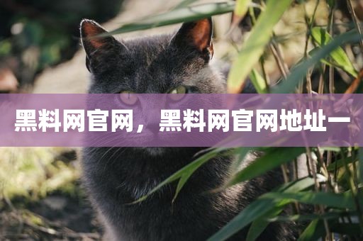 黑料网官网，黑料网官网地址一