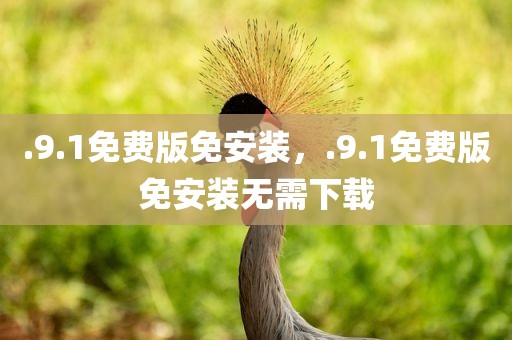 .9.1免费版免安装，.9.1免费版免安装无需下载