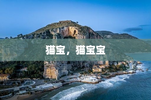 猫宝，猫宝宝
