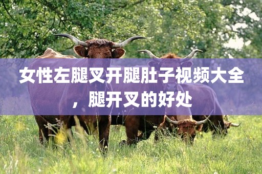 女性左腿叉开腿肚子视频大全，腿开叉的好处