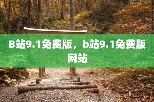 B站9.1免费版，b站9.1免费版网站