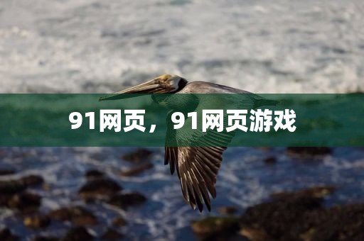 91网页，91网页游戏