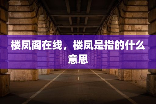 楼凤阁在线，楼凤是指的什么意思
