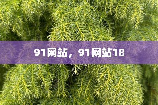 91网站，91网站18