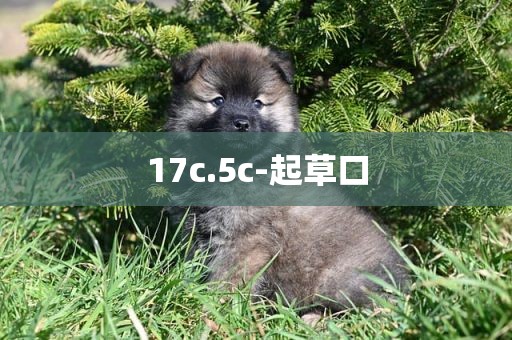 17c.5c-起草口